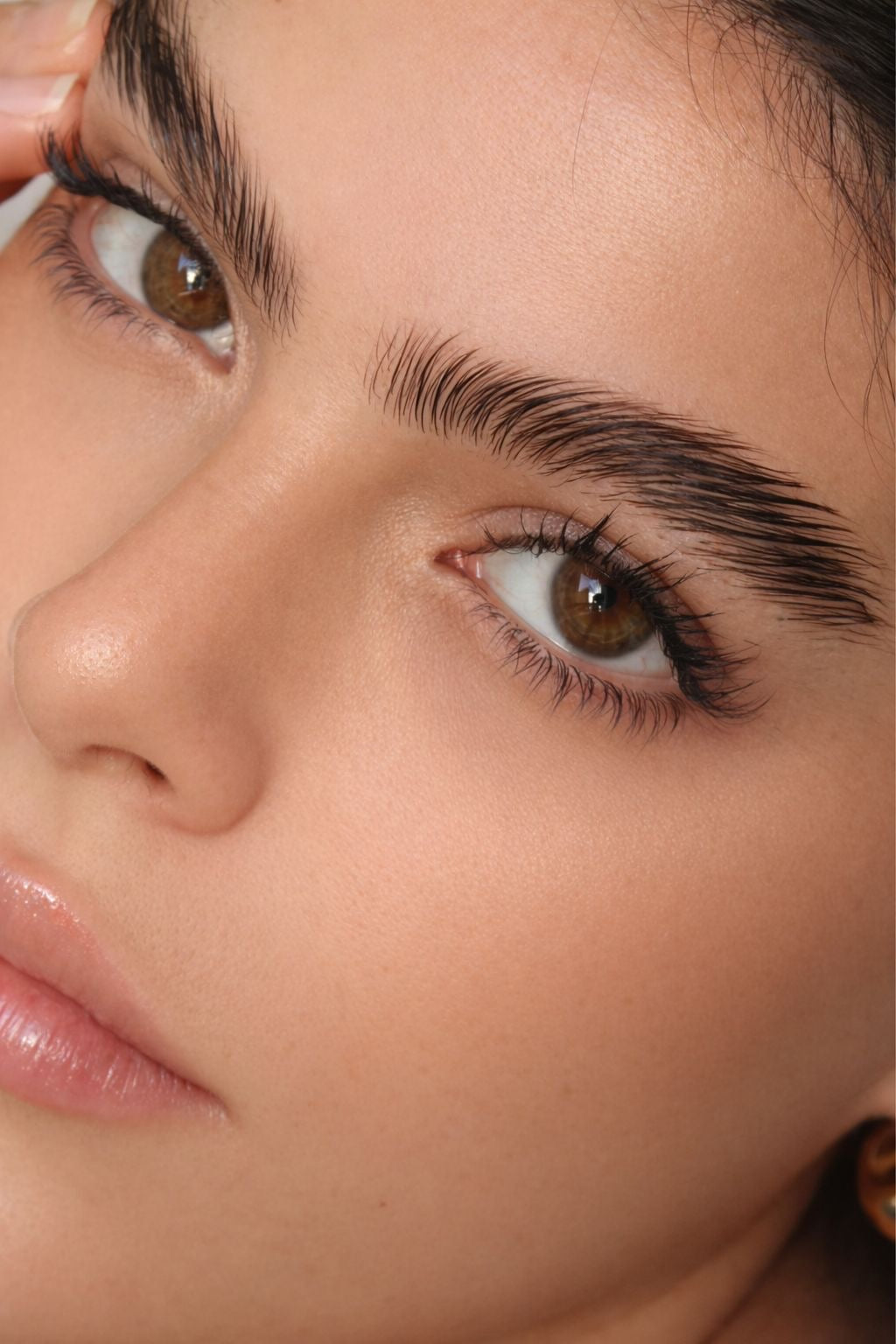 CEJAS